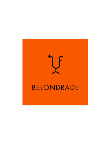 Vino Blanco Belondrade y Lurton 2