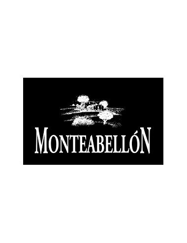 Vino Tinto Monteabellón 14 meses Barrica 2