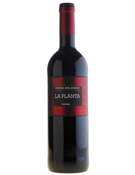 Vino Tinto La Planta Arzuaga 750 ml