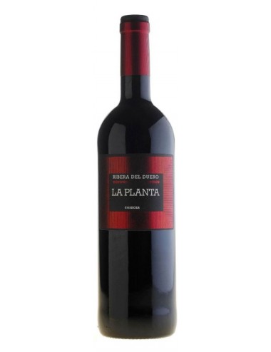Vino Tinto La Planta Arzuaga 750 ml